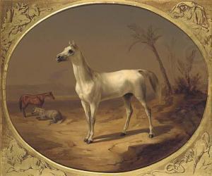 Theodor Horschelt A Grey Arabian Horse china oil painting image